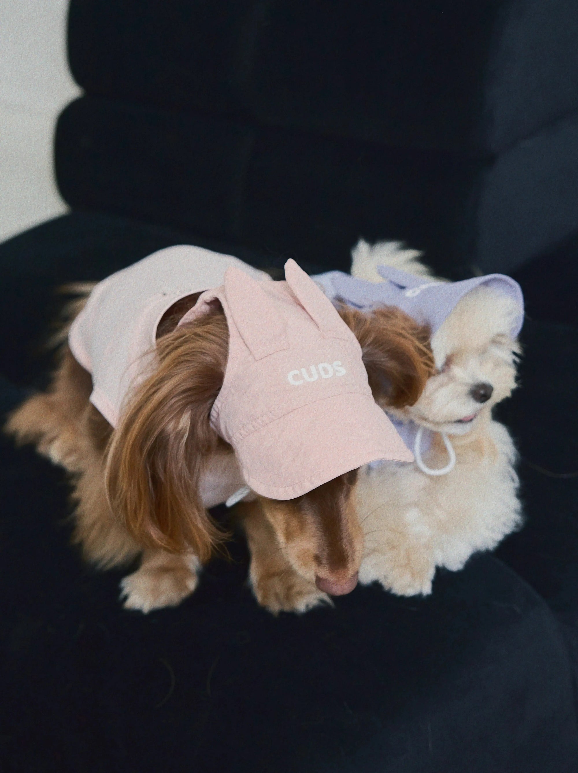 Cherry Blossom UPF100+ Dog Cooling Hat