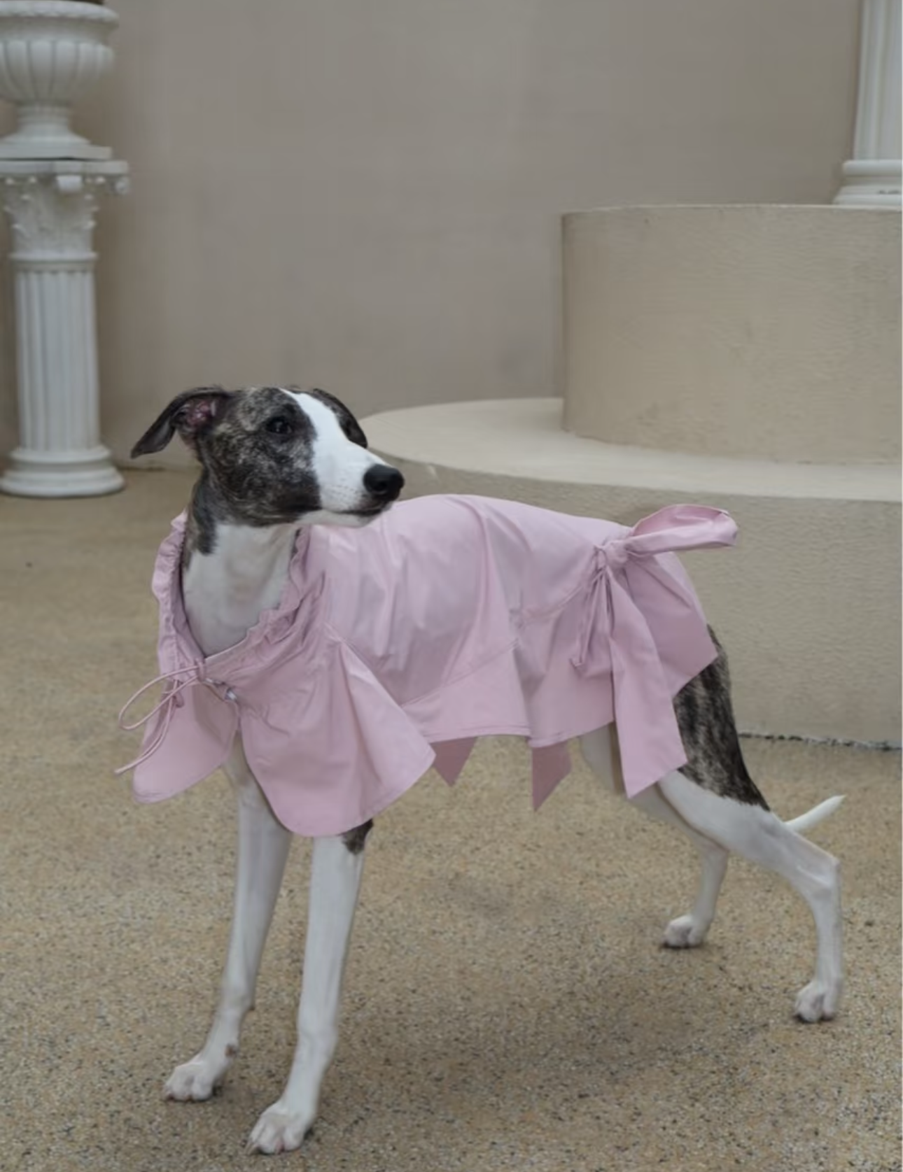 Ballerina Bow Raincoat