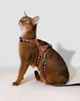 Bobo Series Geometric Harness