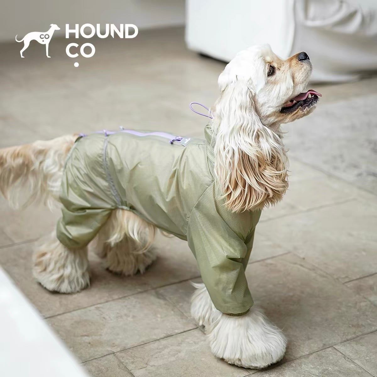 LightShield Waterproof Dog Raincoat