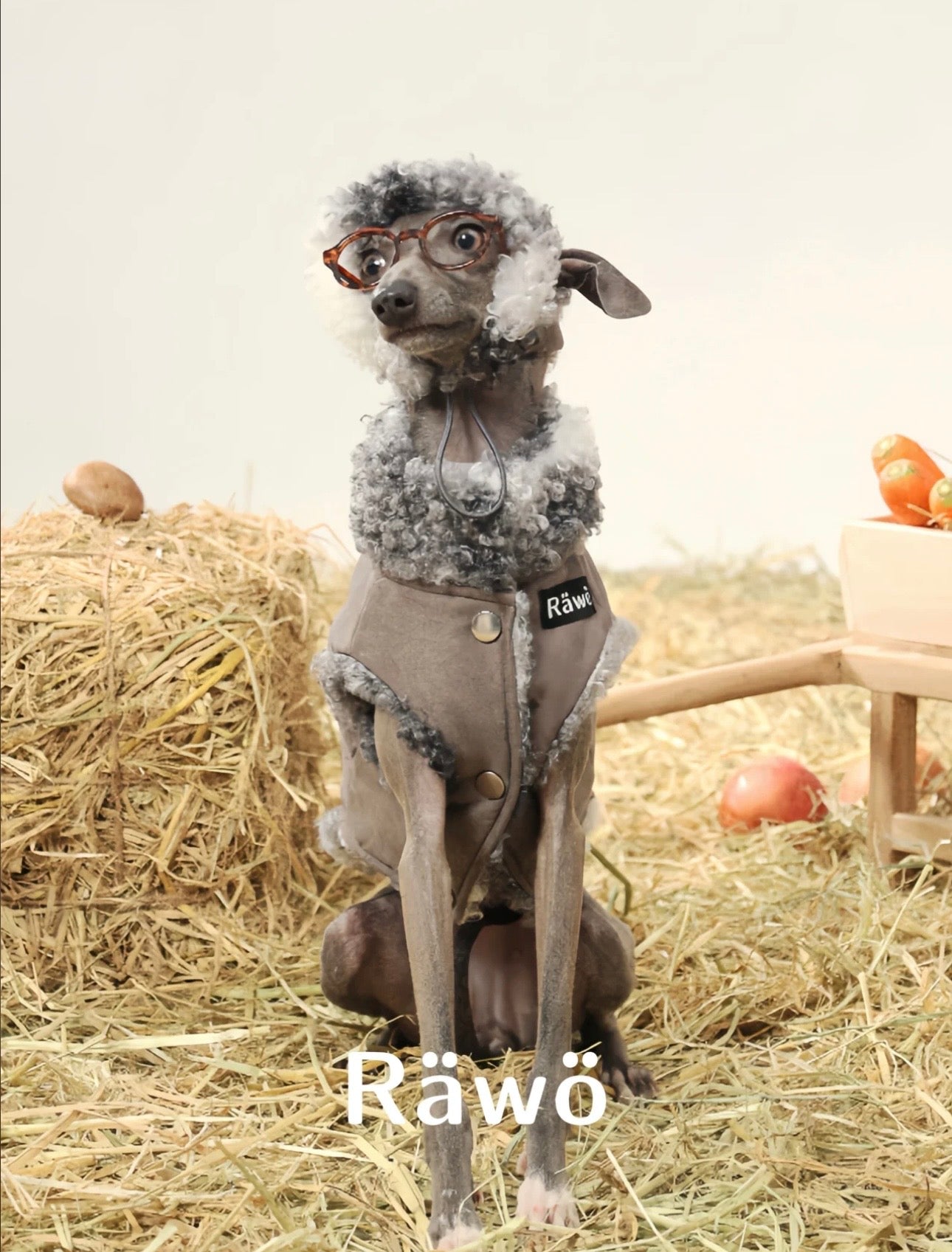 Lovebug Reversible Cozy Ear Hat (includes matching color ear-flap)