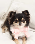 Bow Bib Bandanas