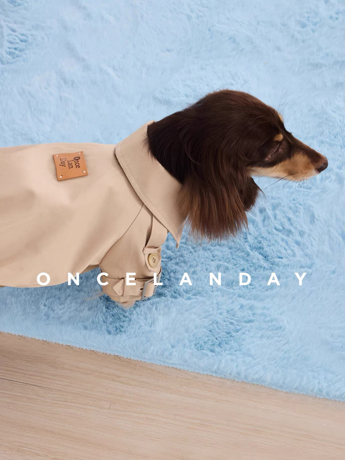 Belgravia Mini Trench Coat