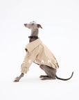 Belgravia Belted Trench Coat
