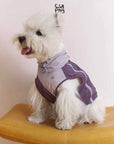 Matcha Taro Trail Vest