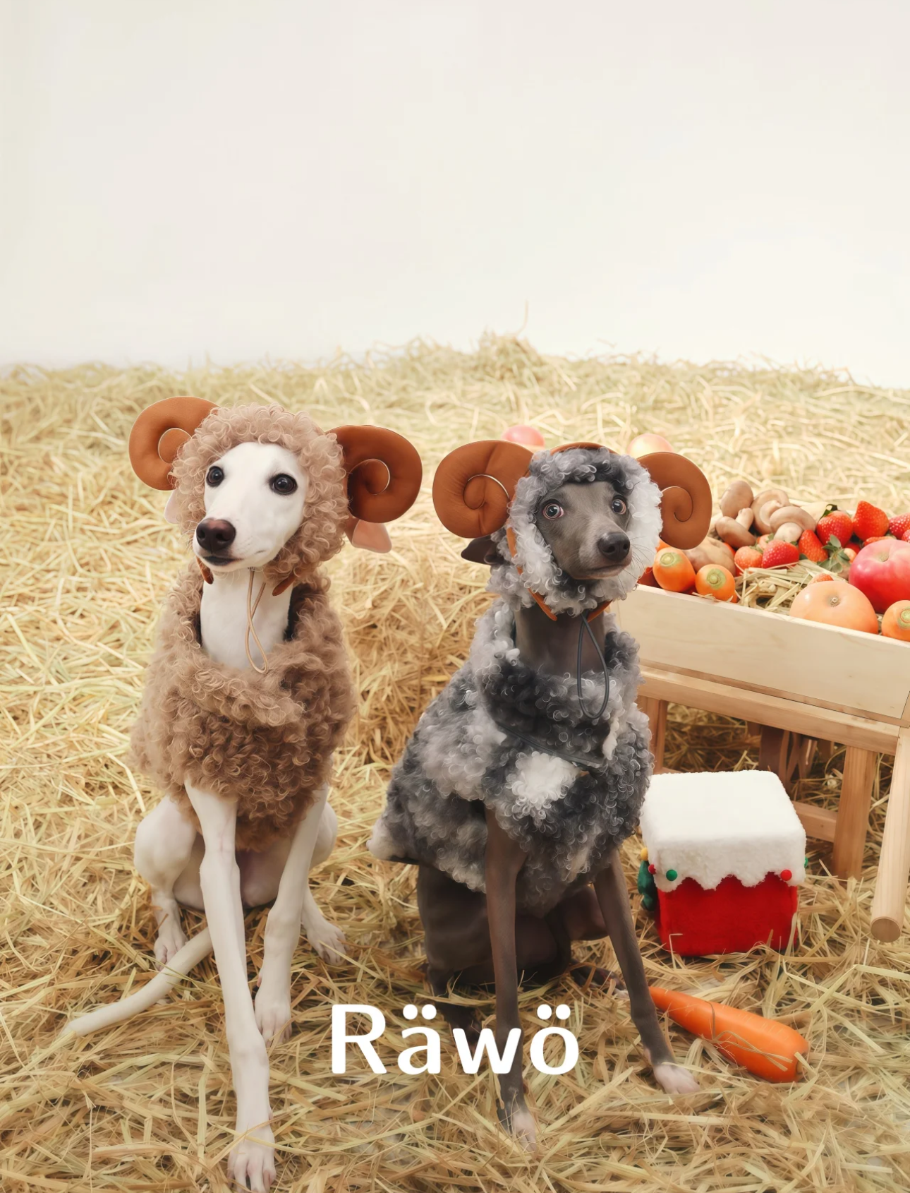 Lovebug Cozy Reversible Sherpa Vest