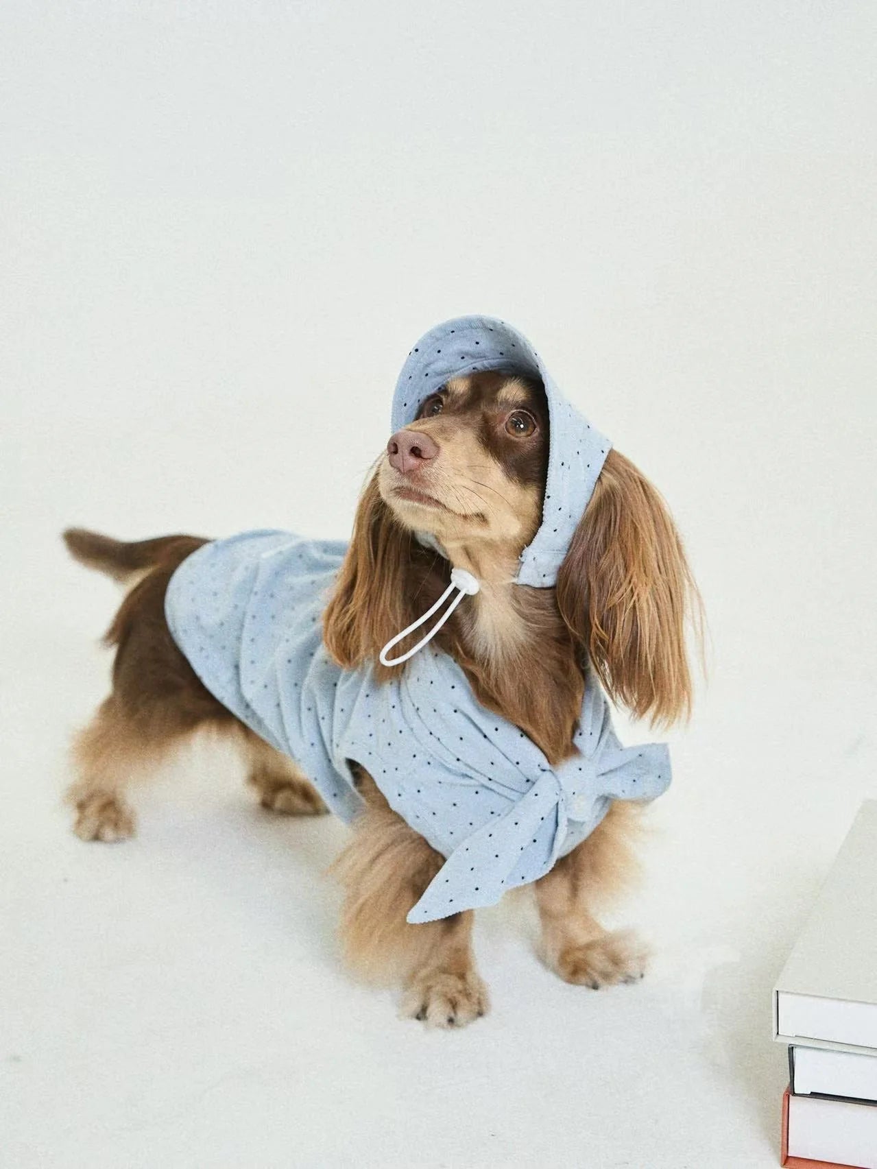 Blue Polka Dot Shirt