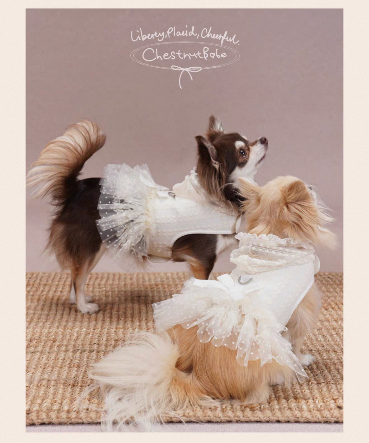 Odette Tutu Cooling Dress