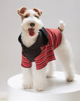 Stripe Contrast Embroidered Hoodie