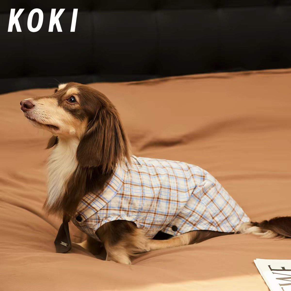 Preppy Plaid Dog Shirt with Collar and Tie