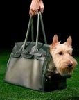 The Jelly Barkin