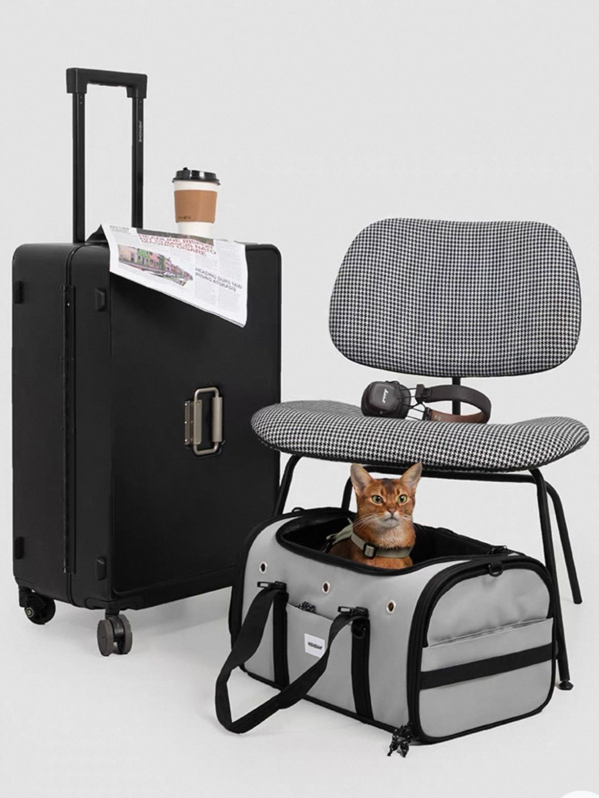 Skyline Pet Carrier