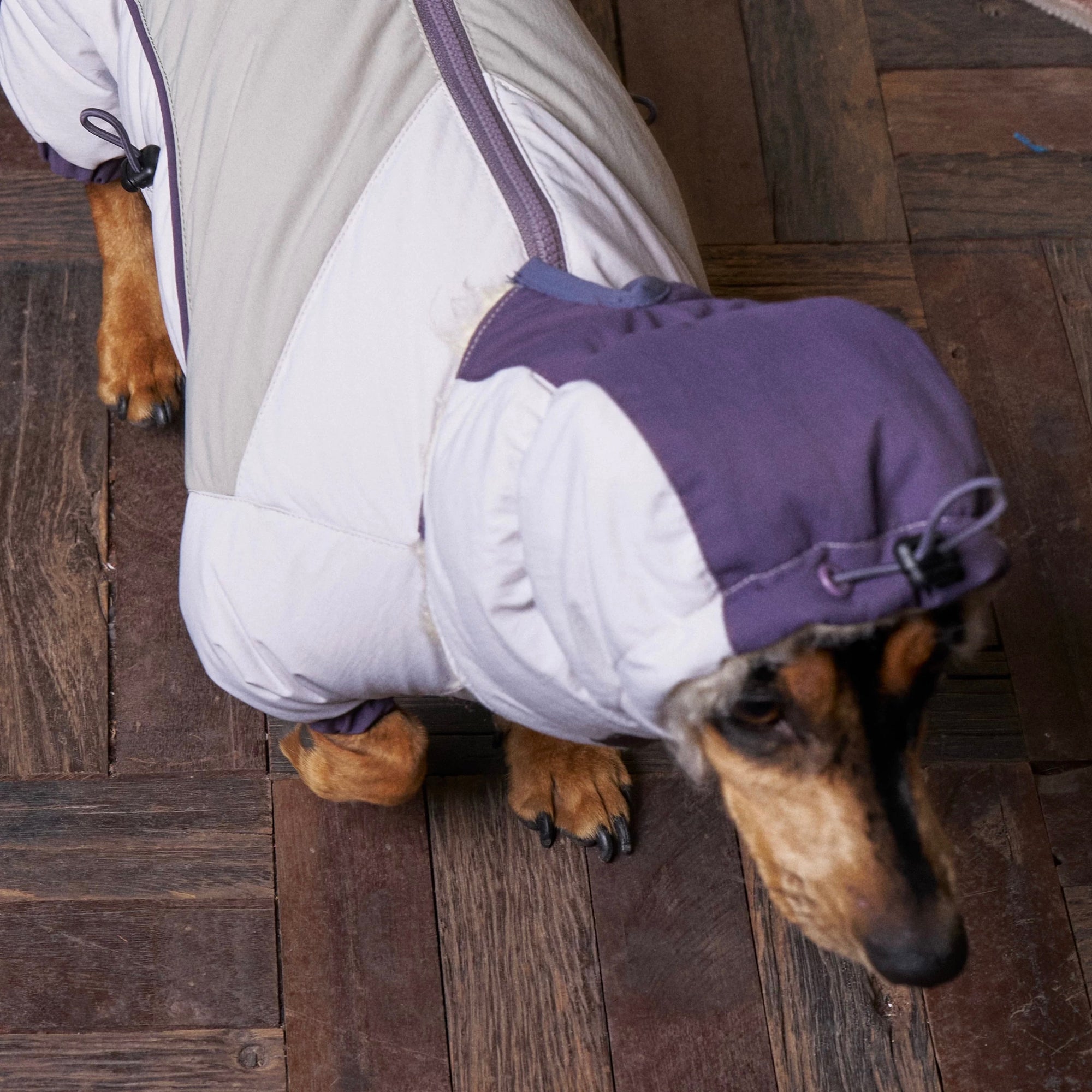 Adventure 90 Down Suit Set