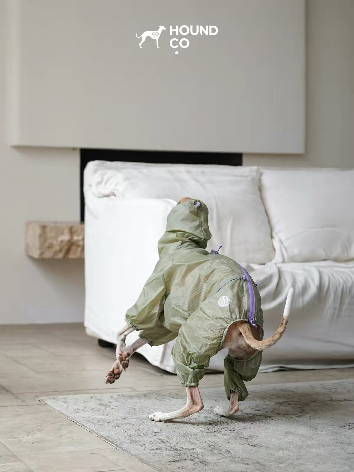 LightShield Waterproof Dog Raincoat