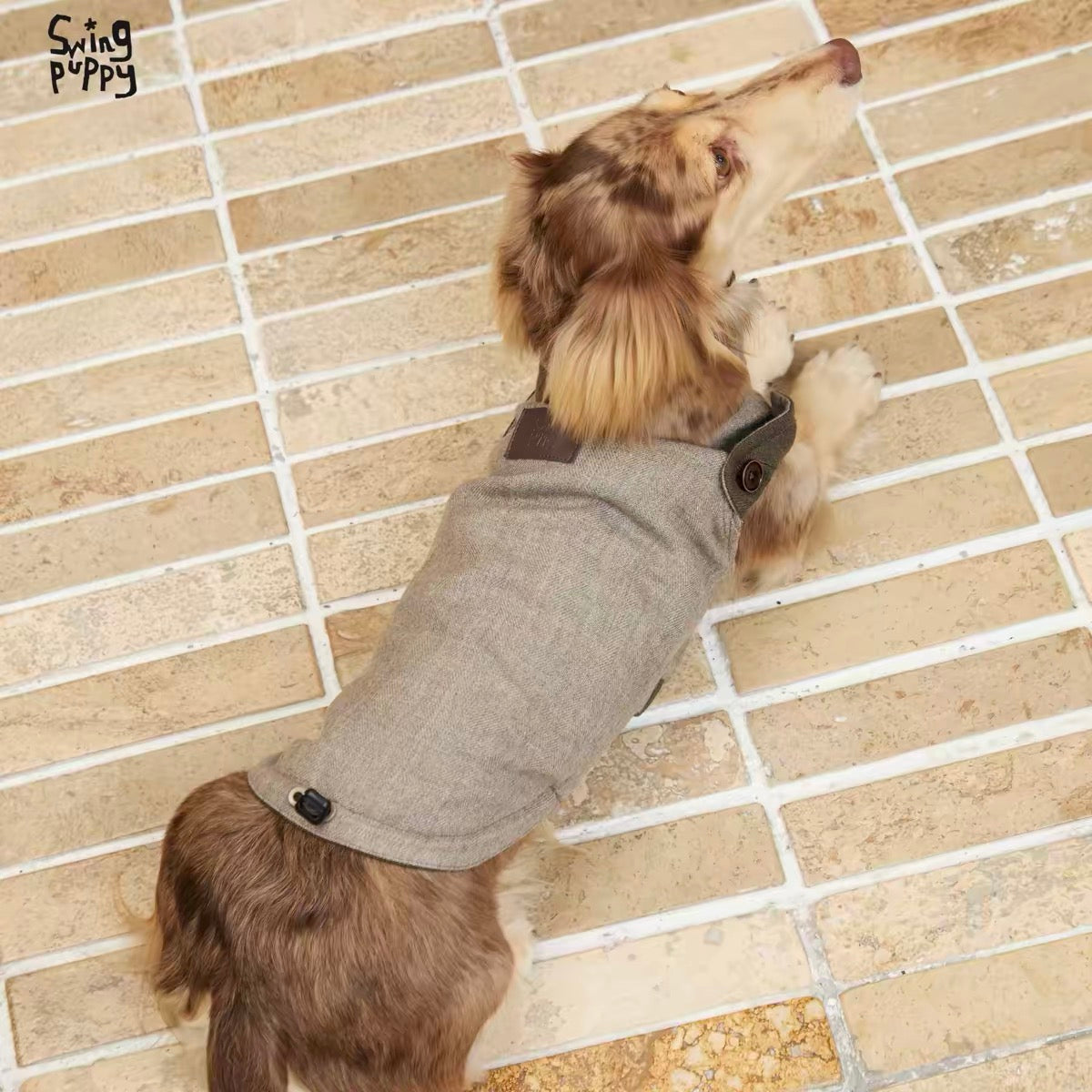 Windsor Reversible Plaid Dog Vest