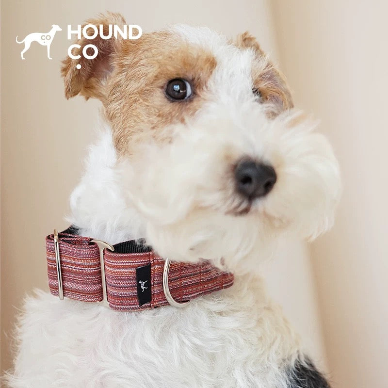 Martingale Yarn-Dyed Collar