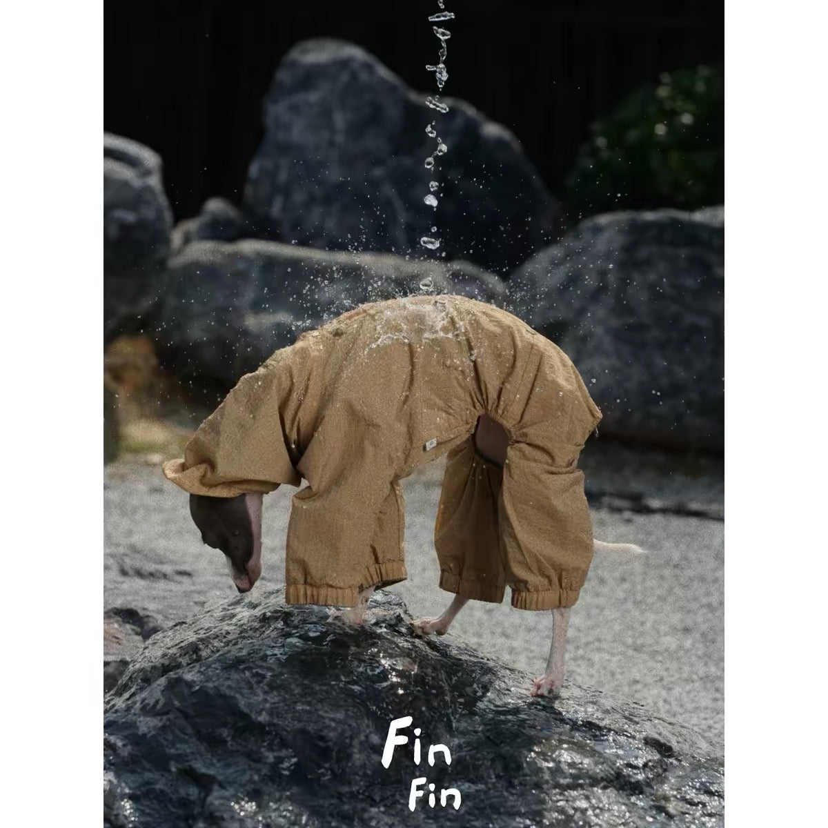 Mountain Reversible Waterproof Raincoat