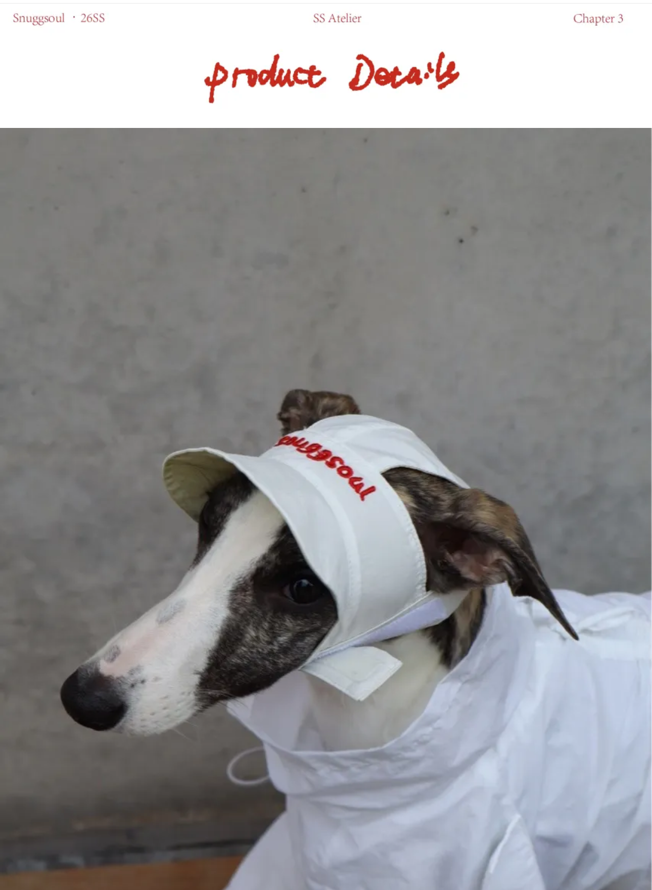 Milk Tea Reversible Cap