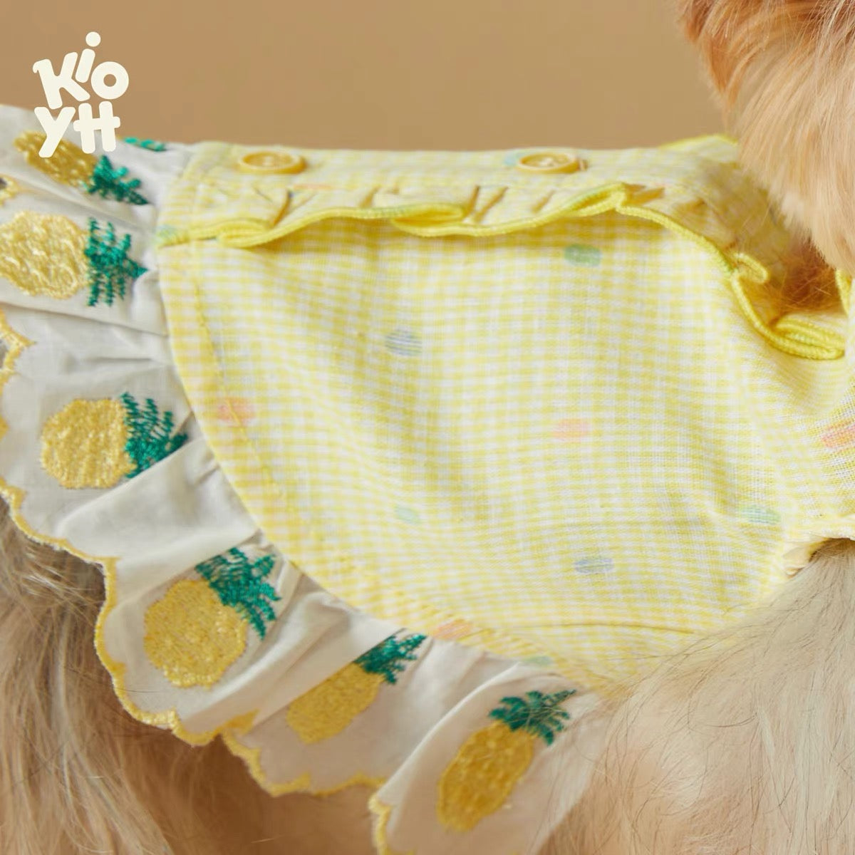 Lemon Blossom Dress Set