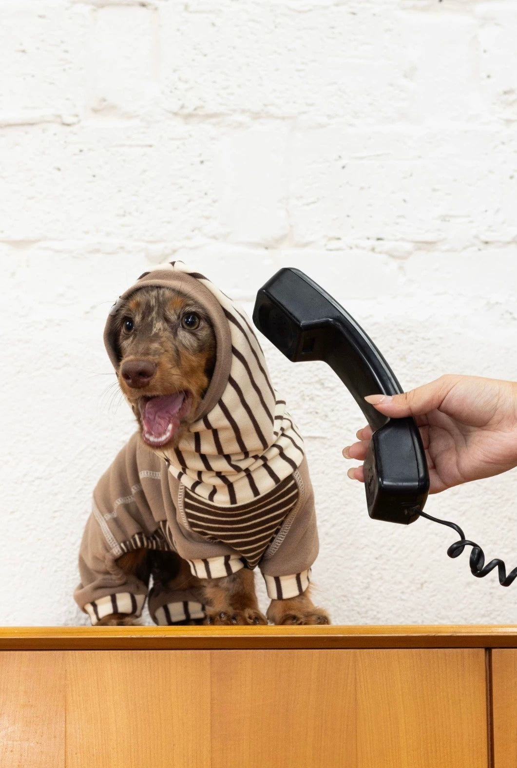 Caramel Stripe Four-Legged Hoodie