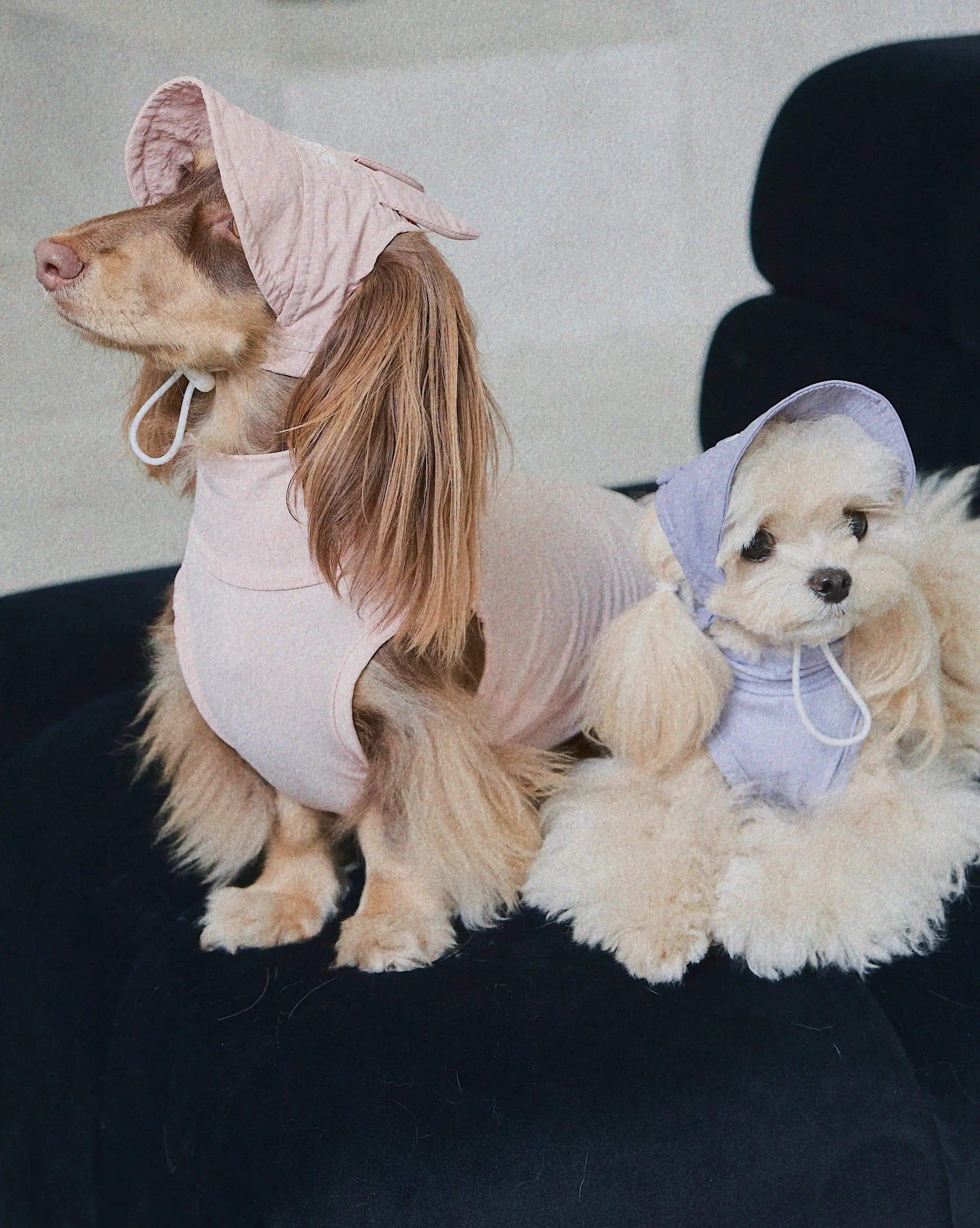 Cherry Blossom UPF100+ Dog Cooling Hat
