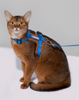 Bobo Series Adventure Harness