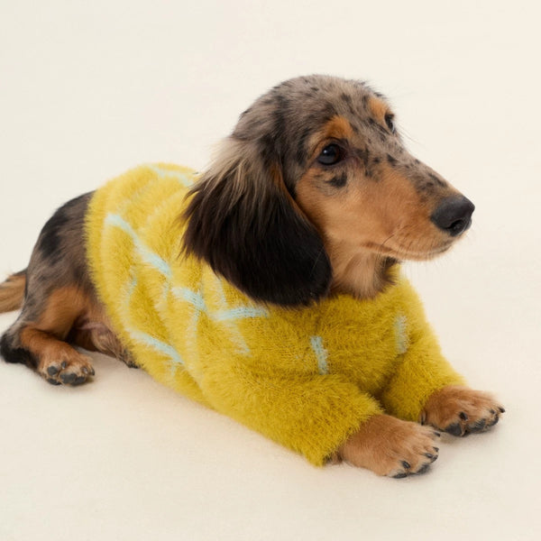 SWEATERS
