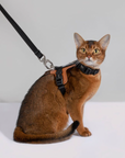 Bobo Series Adventure Harness