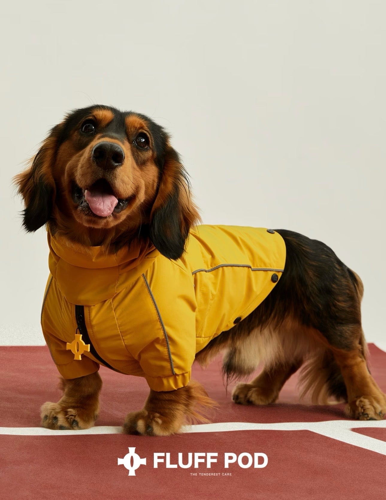 Golden Trail Rain Suit