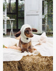 Flopsy Bunny Sheep Beanie