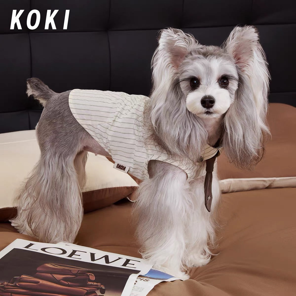 Preppy Plaid Dog Shirt with Collar and Tie