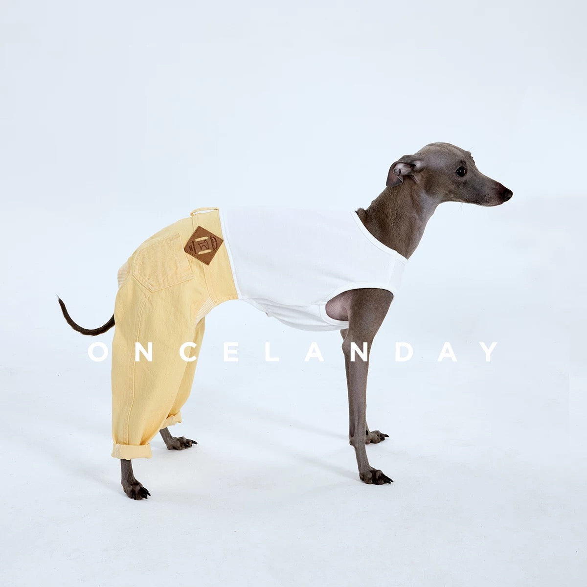 Denim Tail-Fit Jeans