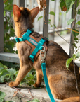 Bobo Series Adventure Harness