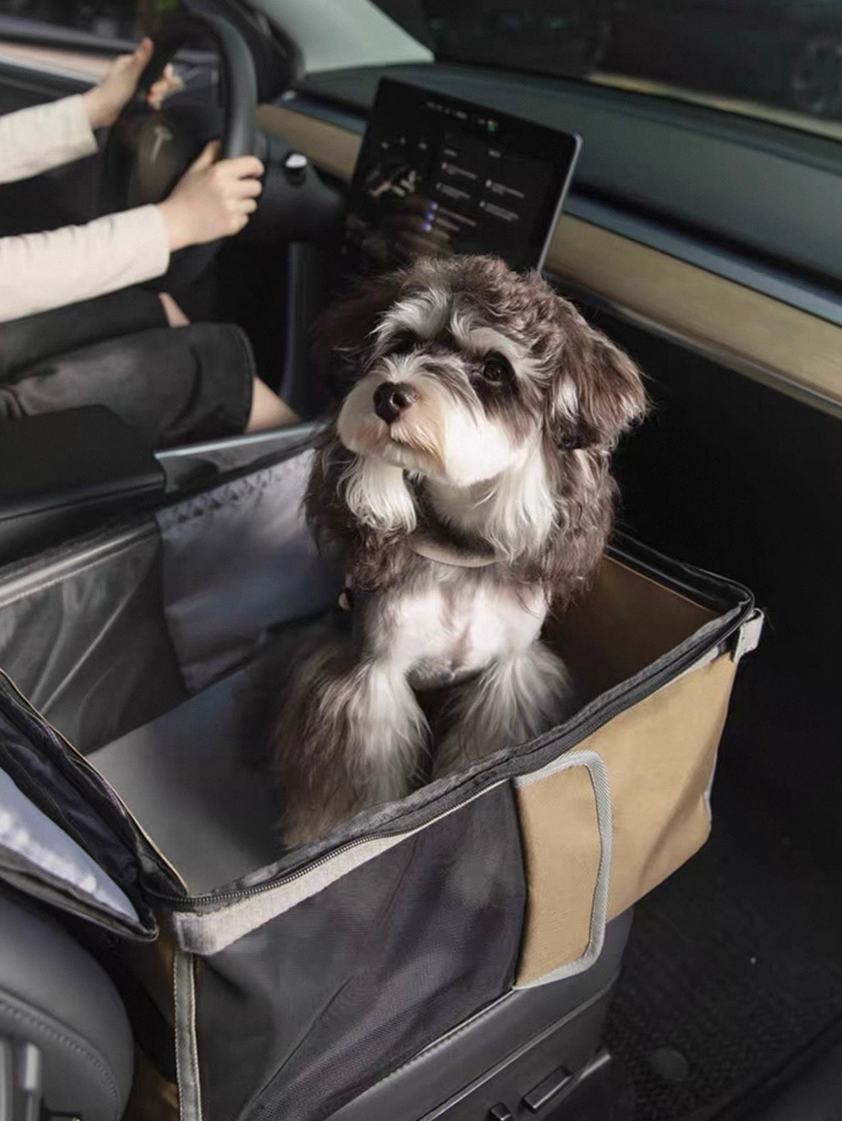 Roadtrip Companion Carrier