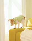 Fresh Toast Reversible Puffer Coat