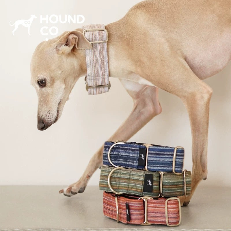 Martingale Yarn-Dyed Collar