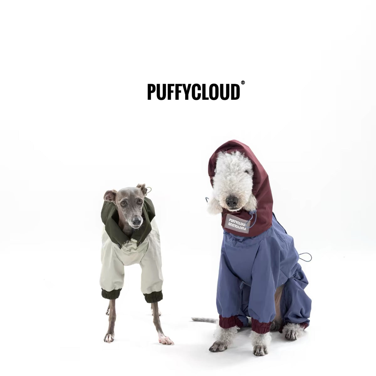 StormShield Outdoor Pet Raincoat