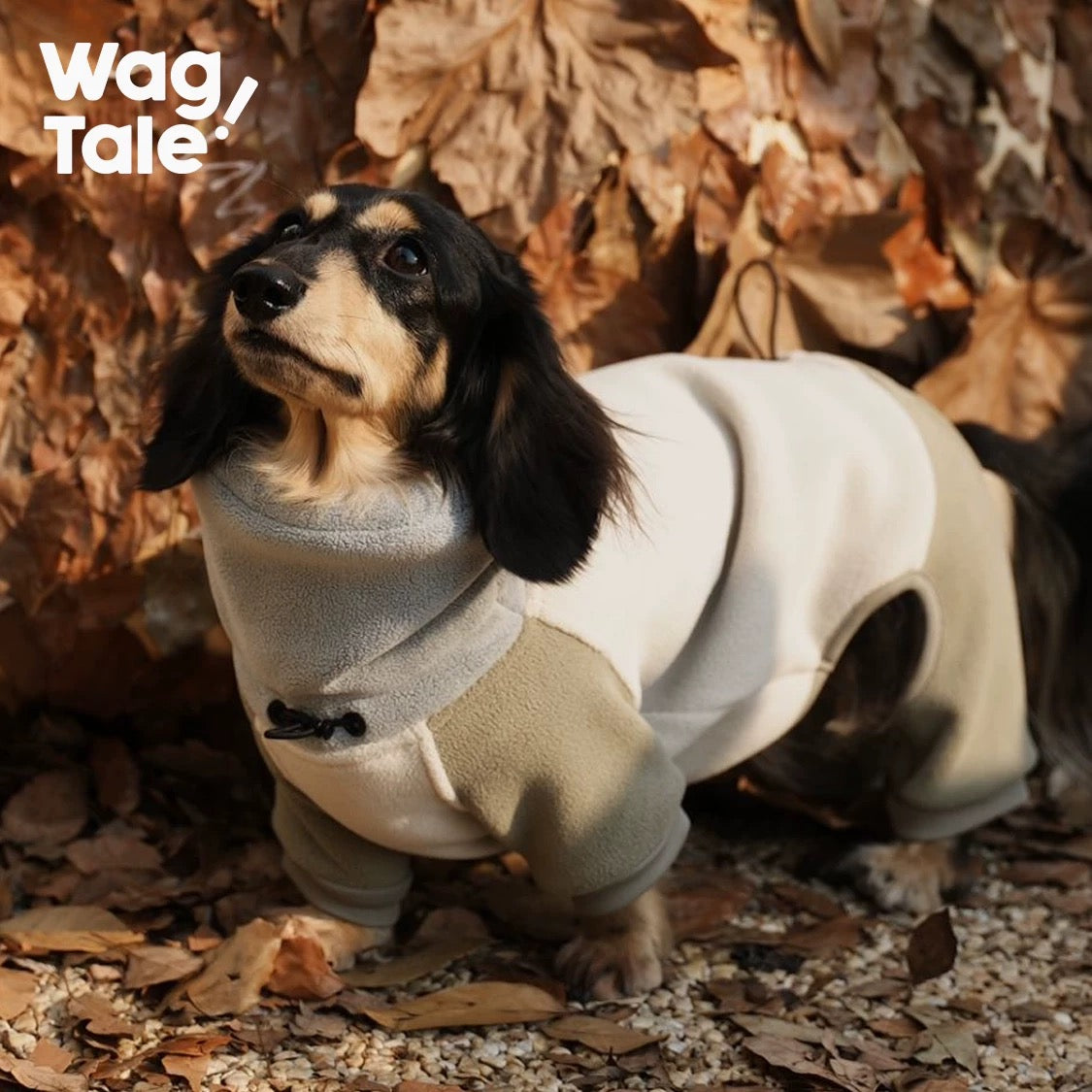 Cloud Dual-Fleece Suit