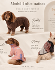 The Jelly Barkin