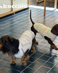 Lemonade Stripe Cooling Tee