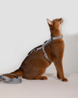 Bobo Series Everyday Harness