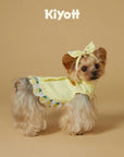 Lemon Blossom Dress Set