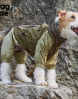 Wilderness Walk Raincoat
