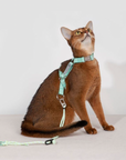 Bobo Series Everyday Harness