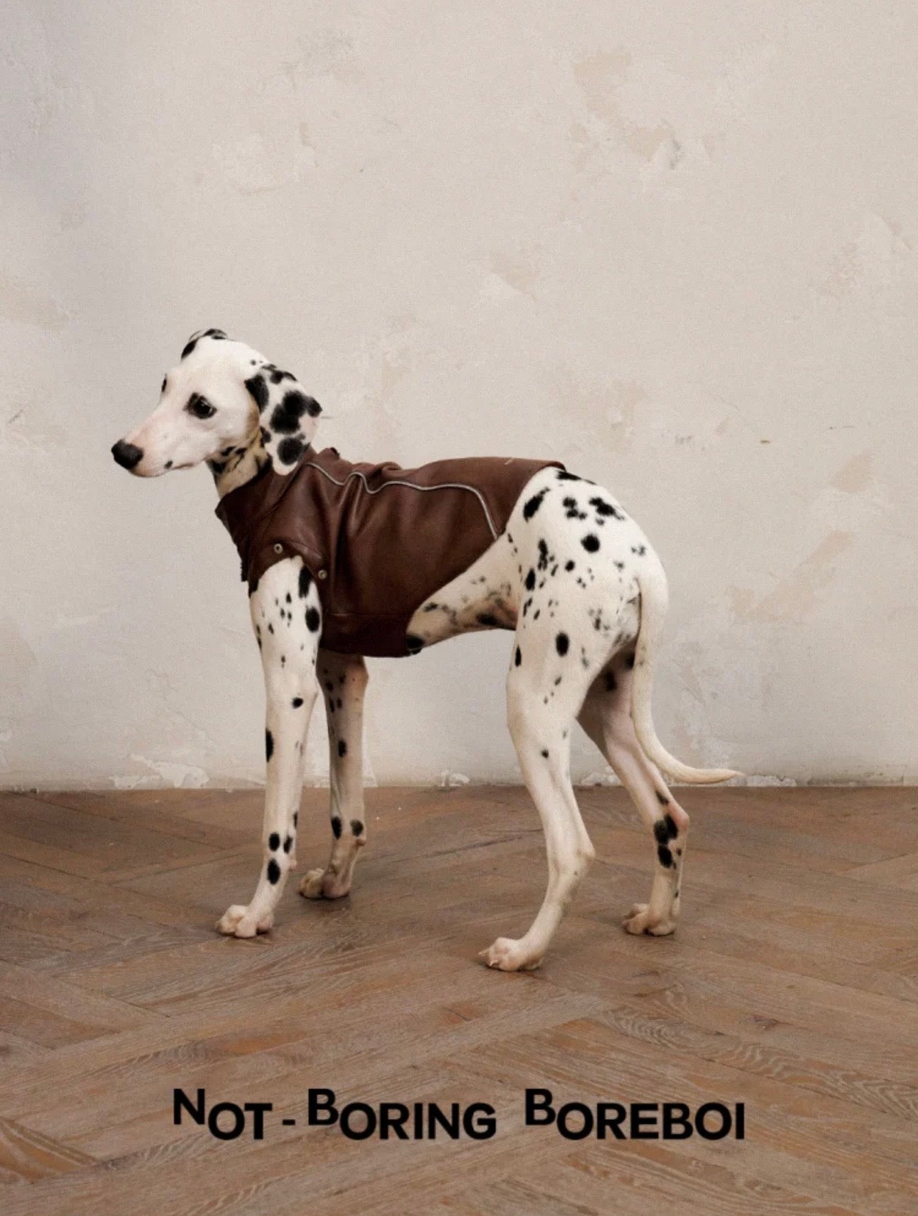 Caramel Macchiato Vest