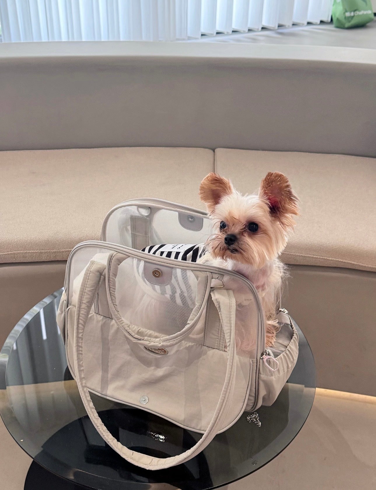 Lumi Travel Pet Carrier