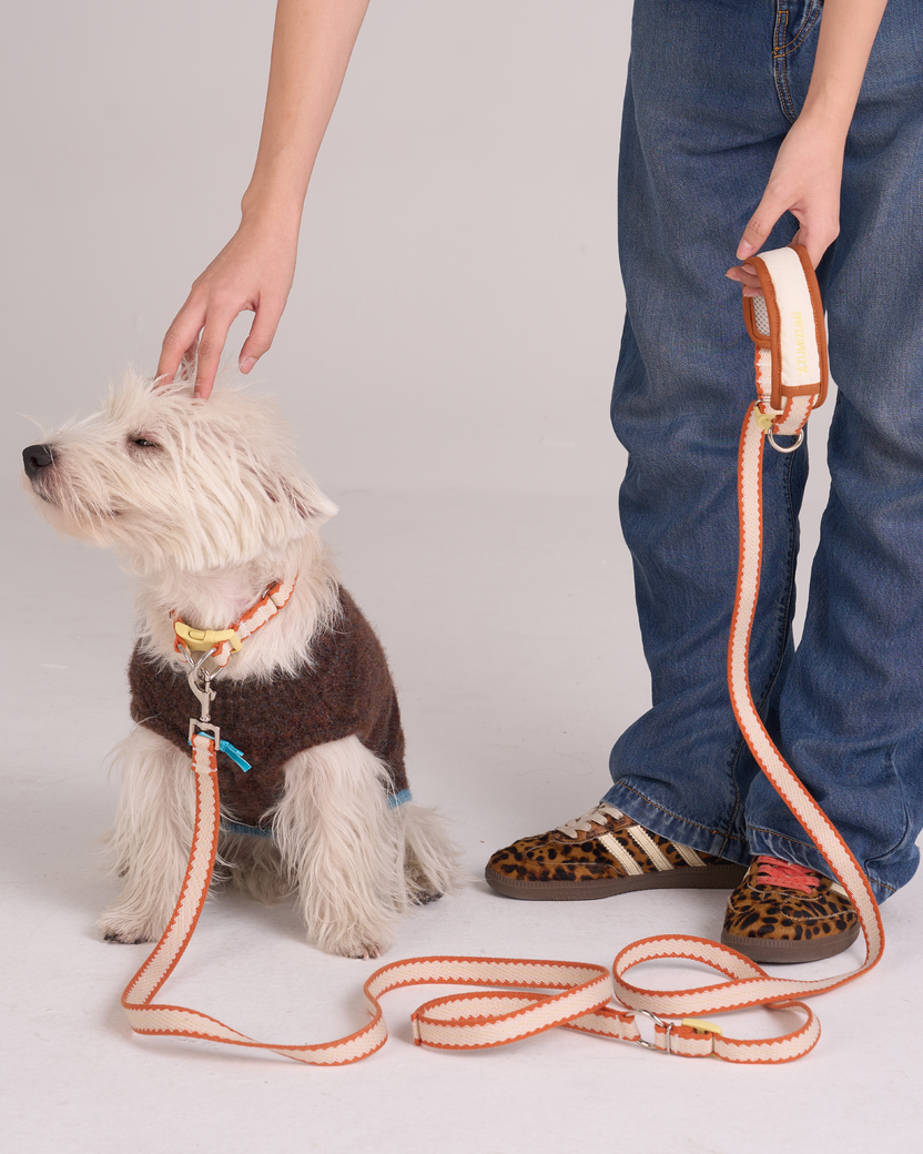 Hands Free Dog Leash Adjustable Pet Leash for Walking