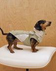 Matcha Taro Trail Vest