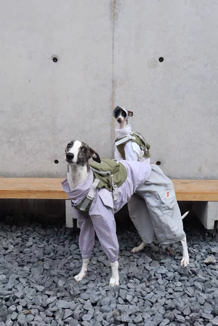 Little Ranger Backpack Harness