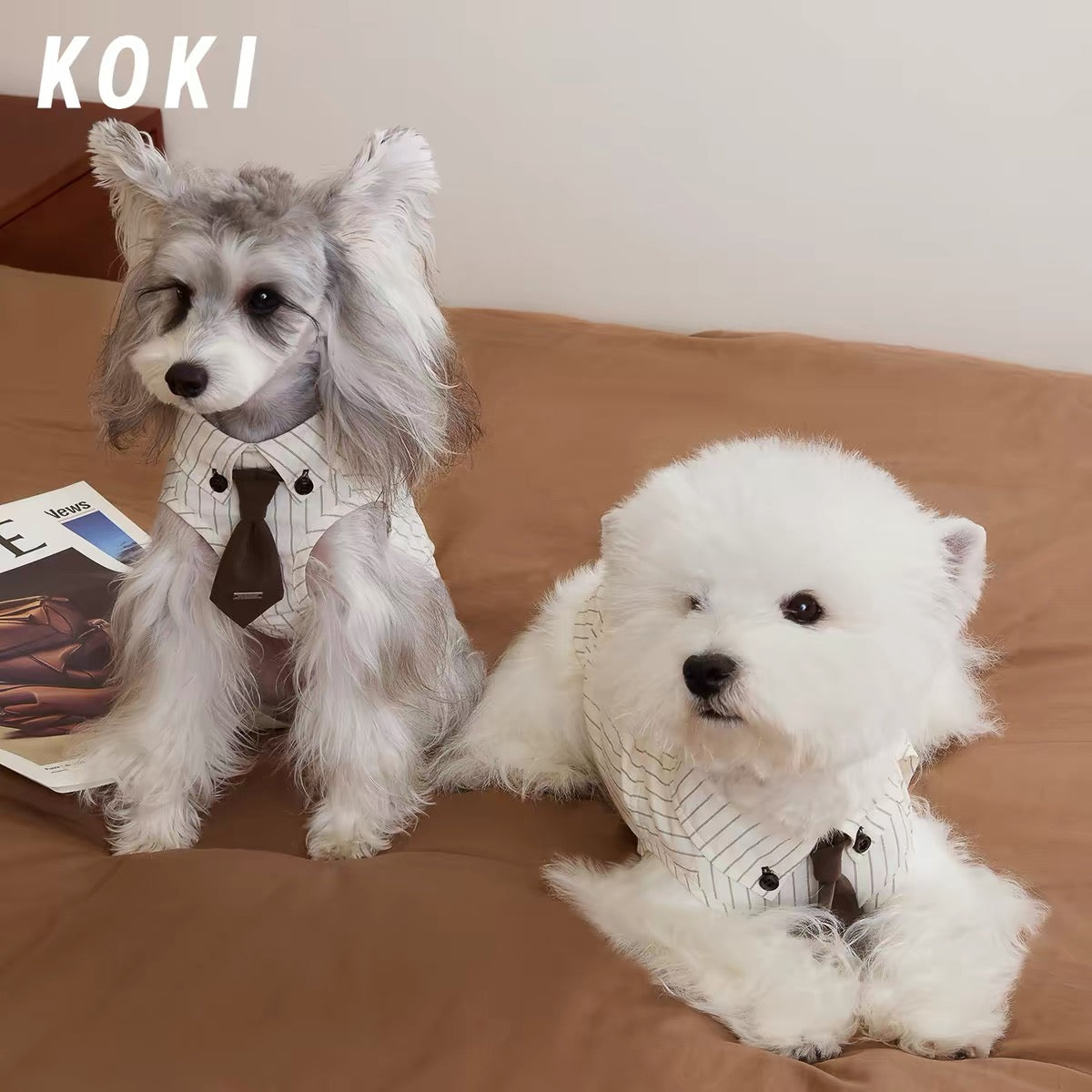 Preppy Plaid Dog Shirt with Collar and Tie